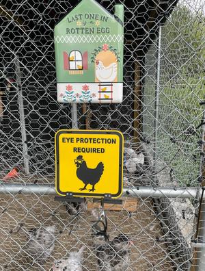 Safety Chicken Eye Protection Required Sign
