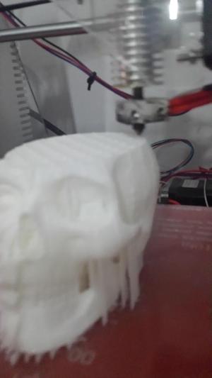 skull and muscle