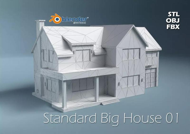 Standard Big House 01