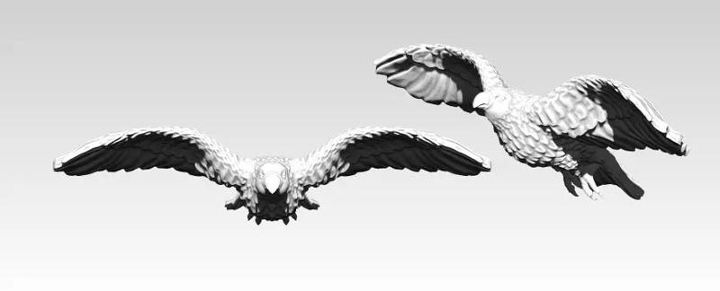 American Flying Bird Eagle Hawk Detailed