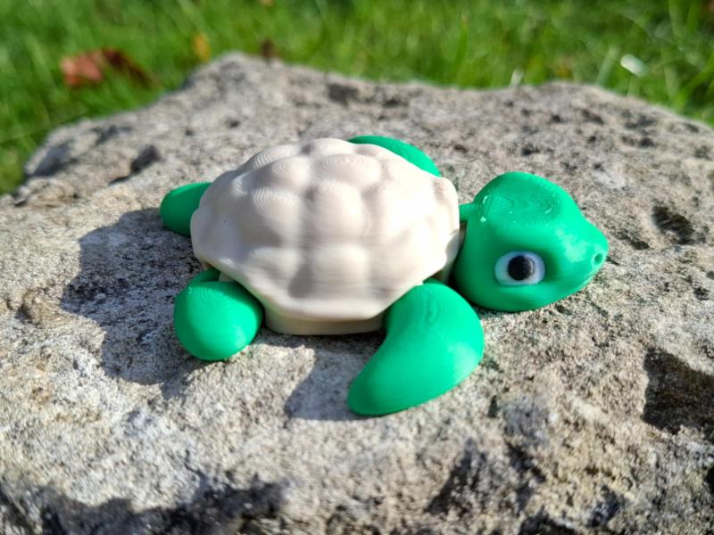 Cute Flexi Sea Turtle