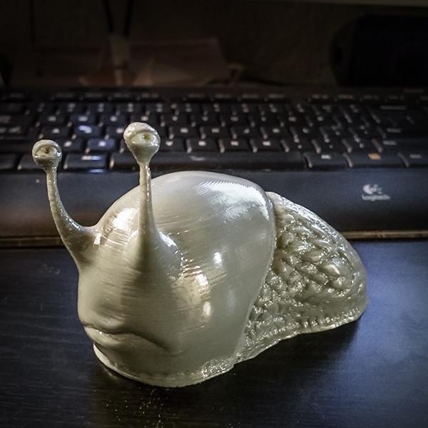 Where's ma house? said Sam the Slug