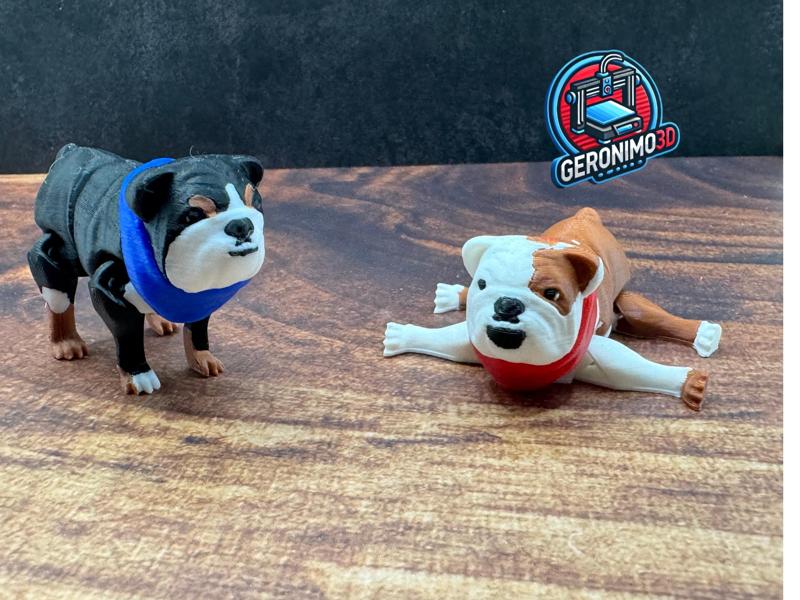 Articulated English Bulldog