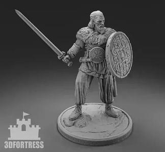 Viking swordsman