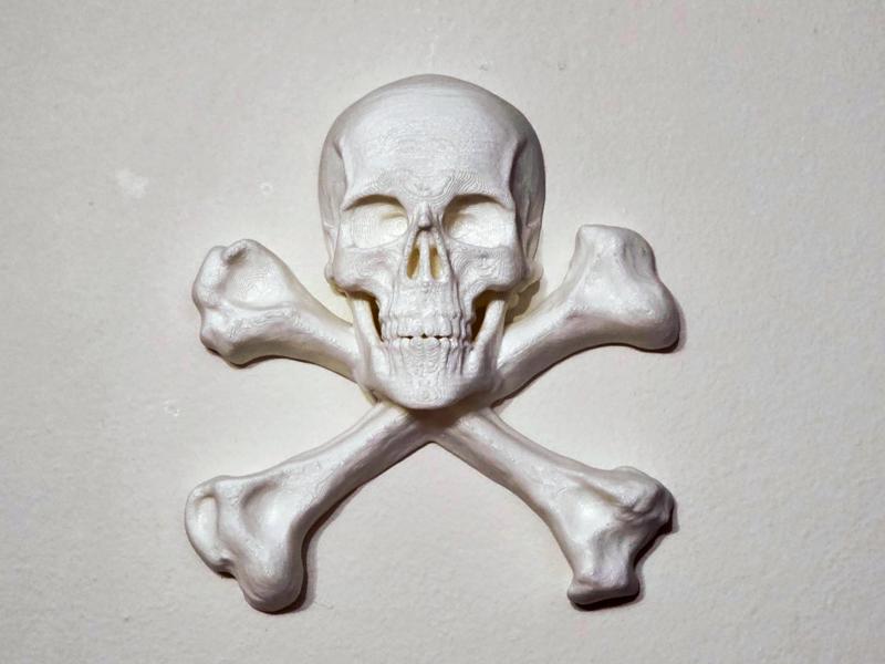 Skull and Crossbones - Wall Display