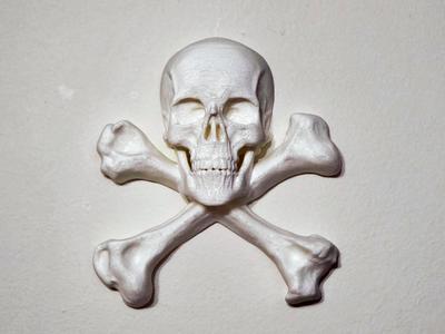 Skull and Crossbones - Wall Display