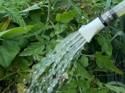 Water Can Shower Spout  3/4  NPT
