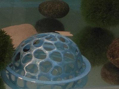 fish hide