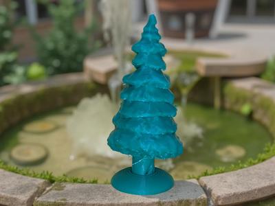 Miniature Fir Tree 