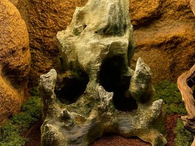 Cave Rock B