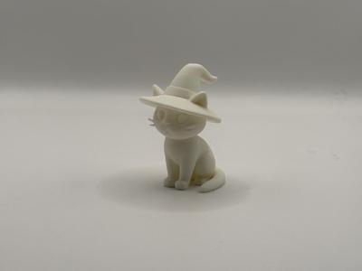 Cat with a witch hat!
