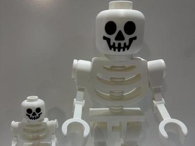 Big Brick - Skeleton