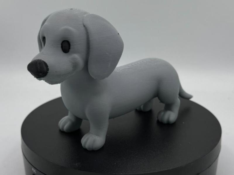 Cute Mini Dachshund Wiener Dog Puppy