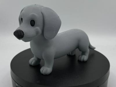 Cute Mini Dachshund Wiener Dog Puppy