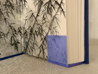 Yumi and the Nightmare Painter Book Shoe - Cosmere