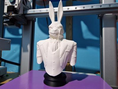 White Rabbit Bust - DMC