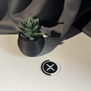 XRP KEYCHAIN