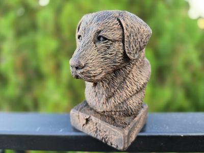 Anatolian Shepherd Dog Bust – Guardian Dog Statue