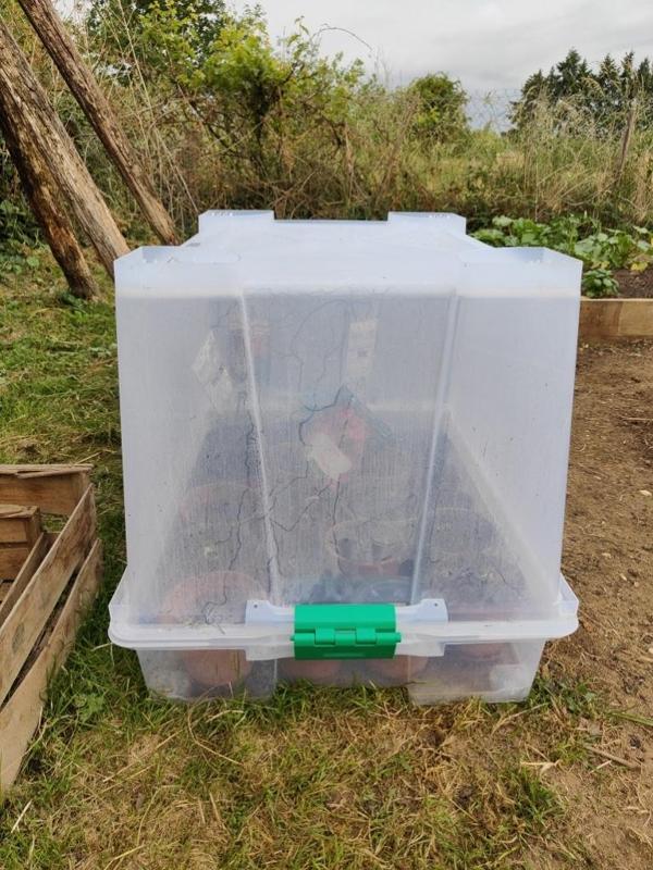 Greenhouse Transformation Kit