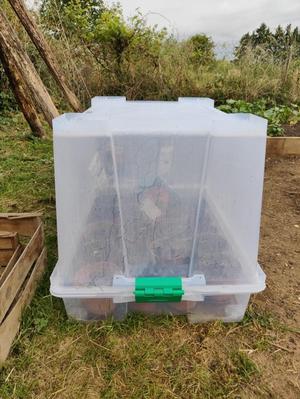 Greenhouse Transformation Kit
