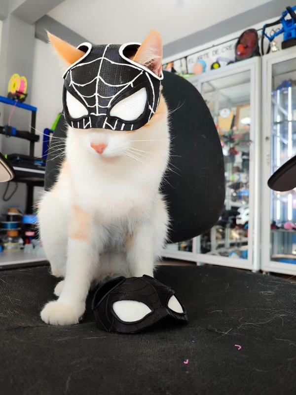 SPIDER-CAT (SPIDERMAN)