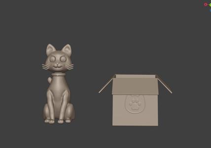 Cat in the box