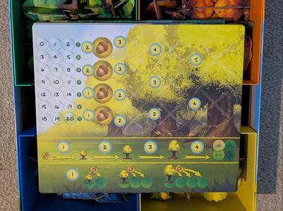 Photosynthesis Box Organiser Insert