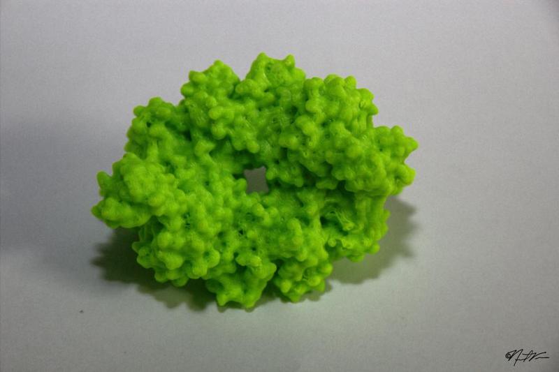 Glycolysis Series #10: Pyruvate Kinase