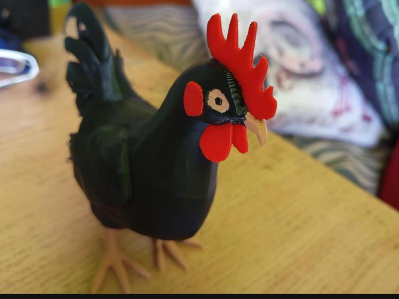 Easygoing rooster