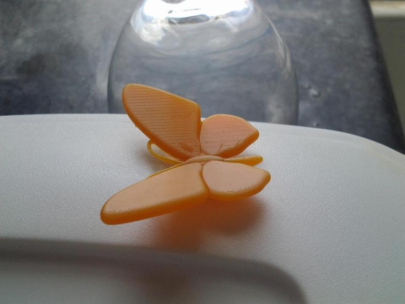 Butterfly supported HD resin v05