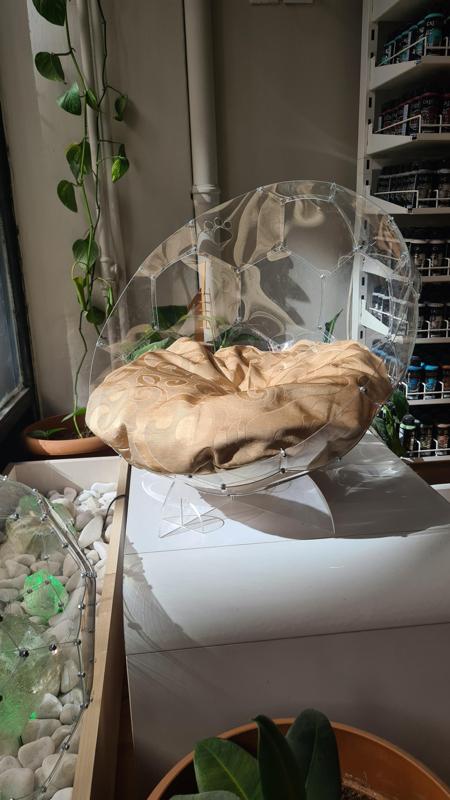 Modern Transparent Cat House – Laser Cut PET Shelter