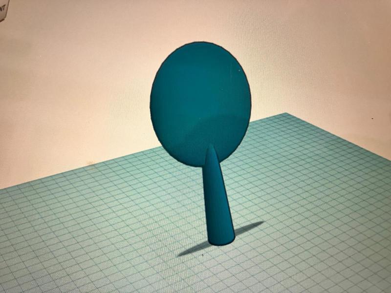 Ping Pong (Table Tennis) Racket