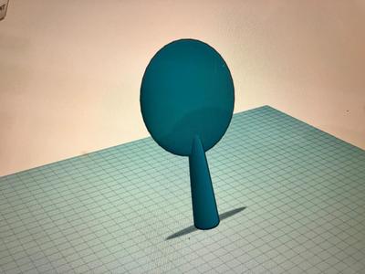 Ping Pong (Table Tennis) Racket