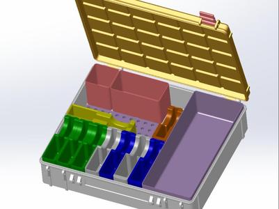 Locksport case with pinning tray lid