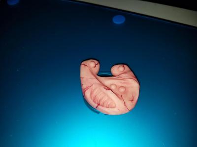 eXistenZ (the micro-pod)