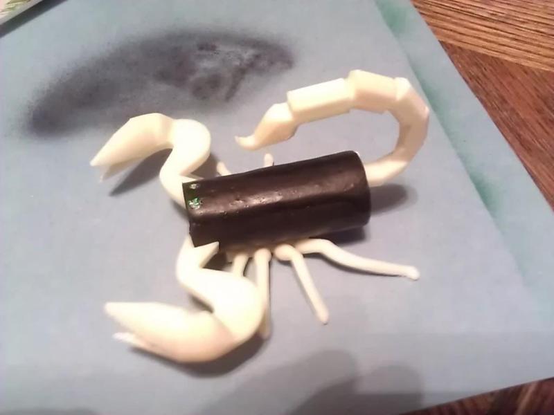 Cork Scorpion