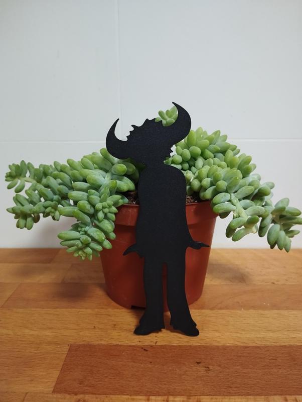 Jamiroquia Buffalo Man