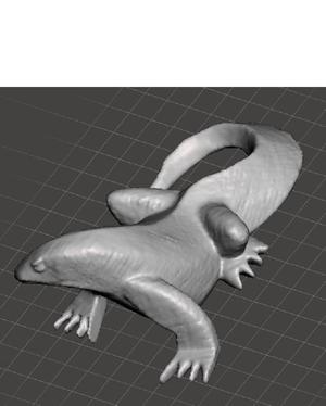 Lizard figure monitor lizard, scan wood carving, decoration