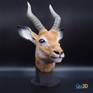 Impala antelope portrait