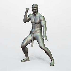 VAN DAMME BLOOD SPORT