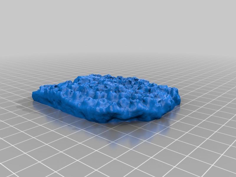 Arachnophyllum mammillare (coral)