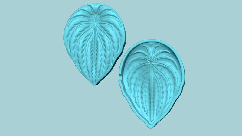 Succulent Watermelon Peperomia - Molding Arrangement EVA Craft