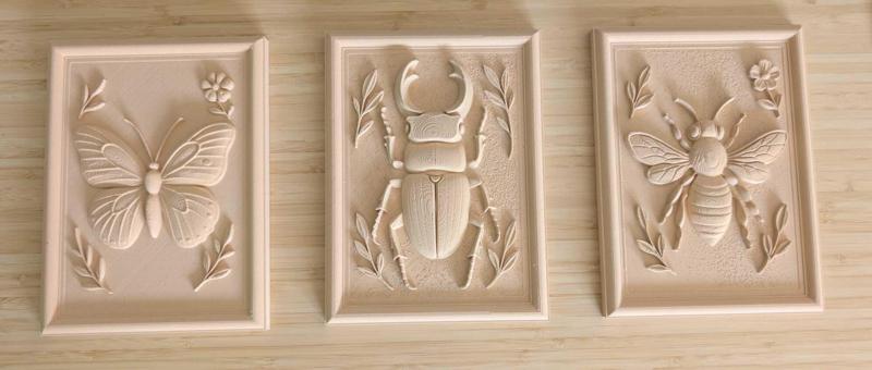 Nature in detail - 3-piece 3D relief set: stag beetle, butterfly & bee