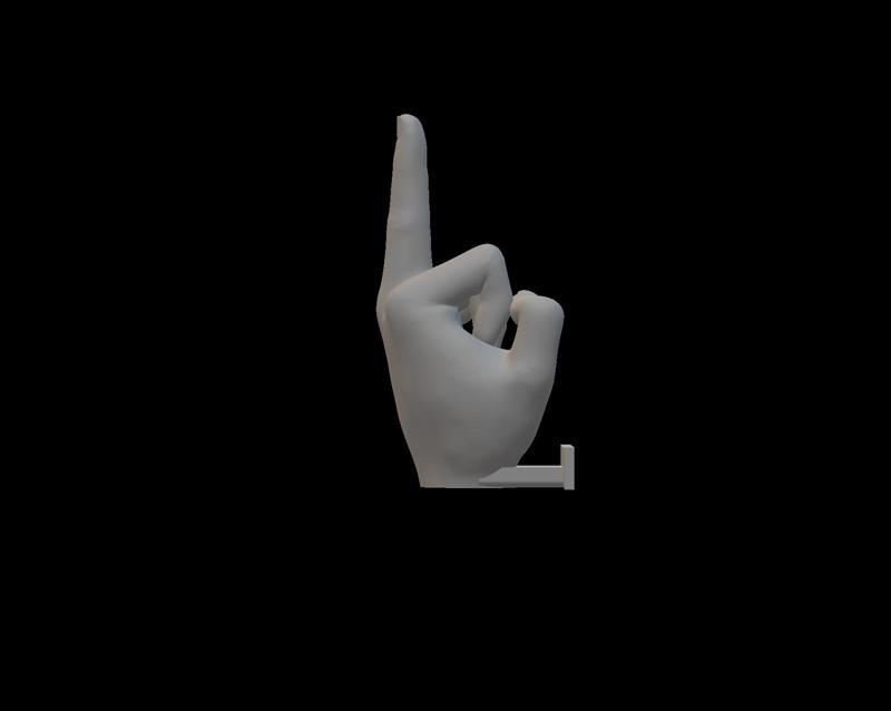 middle finger toilet paper holder
