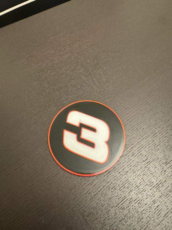Dale Earnhardt Coaster