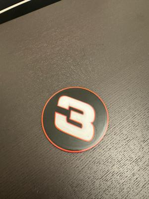 Dale Earnhardt Coaster