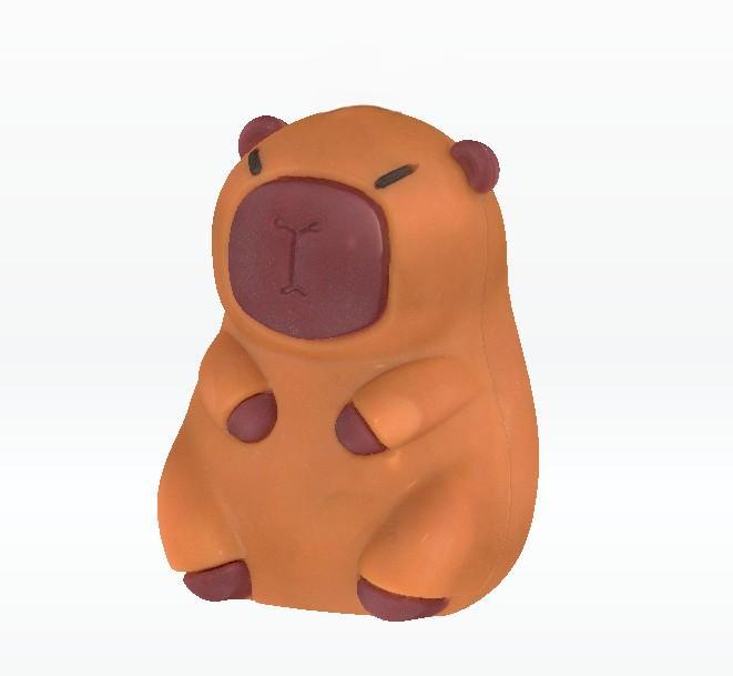 Capibara - Carpincho