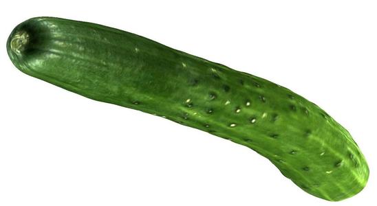 The Cucumber