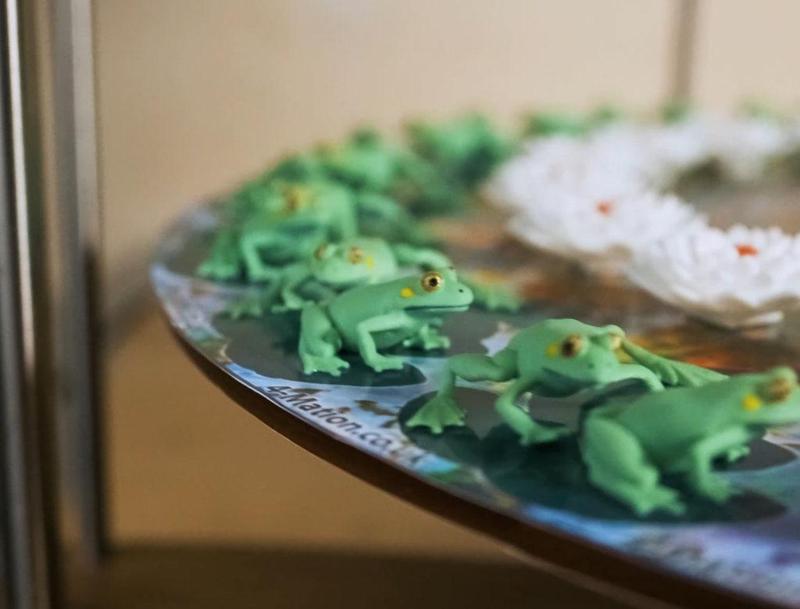 Frogs 3D Zoetrope animation Pre-supported (4-Mation)