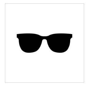 Sunglasses Decoration - 2D Art